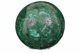 Enormous, Flowery, Polished Malachite Sphere ( lbs) - Congo #192007-1